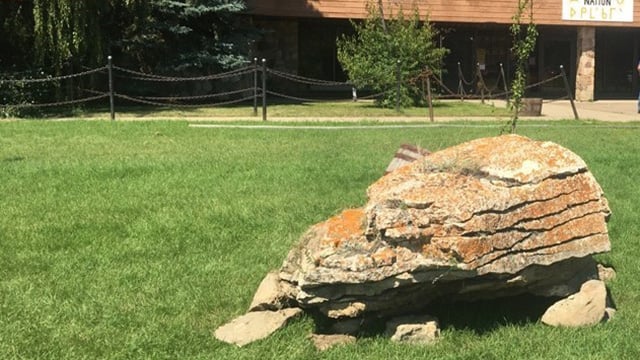 The buffalo rub stone was moved over 400 kilometres to a ‘place of honour’ at Maskwacis, Alta.